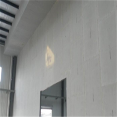 弋阳宁波ALC板|EPS加气板隔墙与混凝土整浇联接的实验研讨